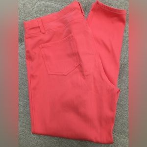 Faded Glory Woman’s pull on jeggings leggings size xxl